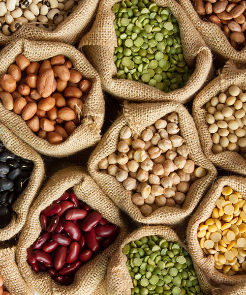 Burlap bags filled with dried beans, peas and nuts. Gourmet Spice Company, Wholesale Food Distributor.