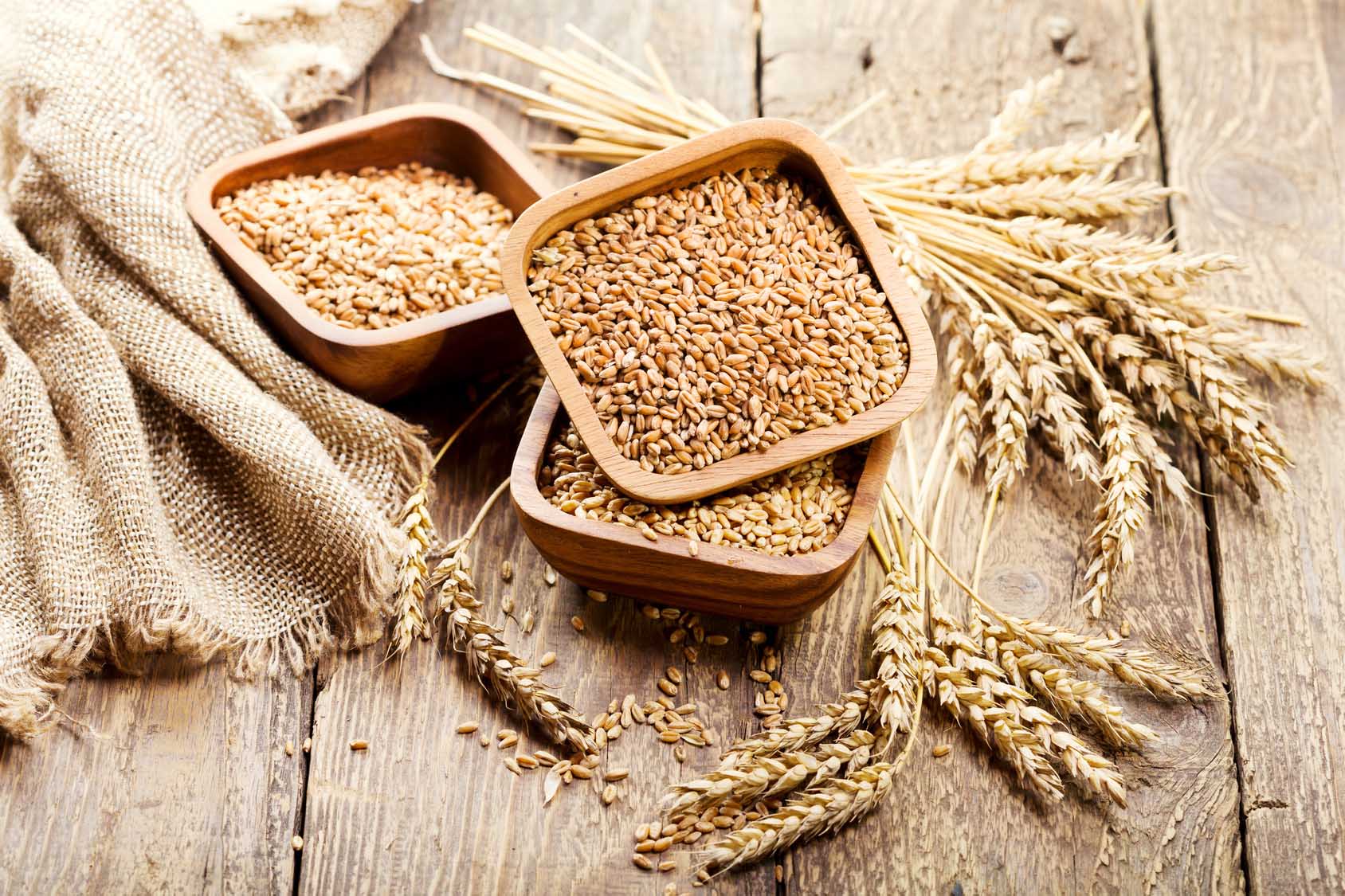 Whole wheat grains in bowls on top of wooden table and burlap. Gourmet Spice Company, Wholesale Food Distributor.